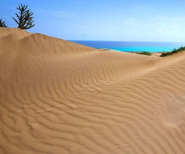 Sol Y Sal De Corralejo (Adults Only) Eksteriør billede